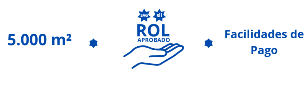 imagen 2026 08 31 161537084